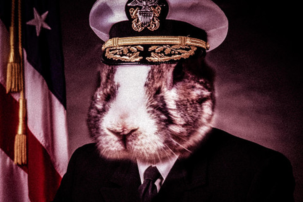 Admiral V - the Fanboys strawberry thickshake flavour, pictured as a rabbit in naval dress uniform